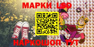 СК Коммунар