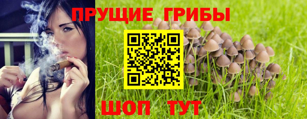 Галлюциногенные грибы Psilocybe Касимов