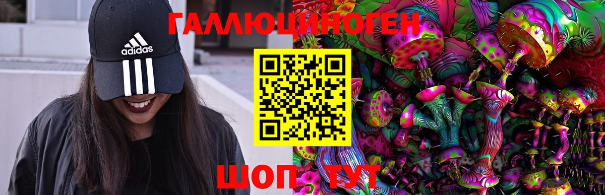 наркота  Вход с VPN  Касимов  Псилоцибиновые грибы Cubensis 